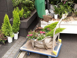 植木・庭木の植栽・移植工事